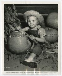 9h117 BABY SANDY 8x10 still '40 the child star carving her first Halloween jack o' lantern!