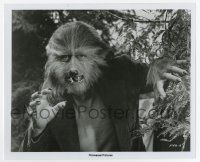 9h176 BOY WHO CRIED WEREWOLF 8x10 still '73 best close up of wolfman monster Kerwin Mathews!