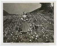 9h333 EXILE 8.25x10 still '47 Rita Corday billed as Paule Croset in a Swiss tulip garden!