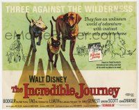 9r181 INCREDIBLE JOURNEY TC R74 Disney, Bull Terrier, Siamese cat & Labrador Retriever!