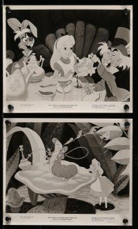 9s217 ALICE IN WONDERLAND 13 8x10 stills R74 Walt Disney Lewis Carroll classic cartoon!