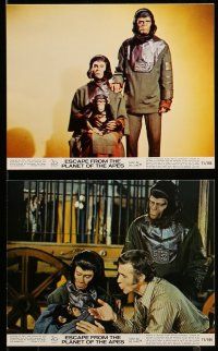9s038 ESCAPE FROM THE PLANET OF THE APES 8 color 8x10 stills '71 Kim Hunter, Roddy McDowall