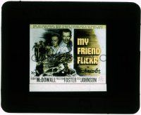 1a083 MY FRIEND FLICKA glass slide '43 Roddy McDowall in a mighty story of a boy and his horse!