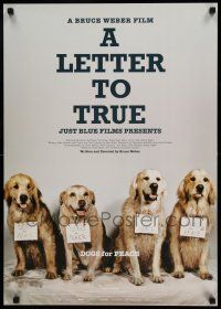 1b681 LETTER TO TRUE Japanese '05 Bruce Weber directed, great image of dogs for peace!