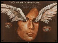 1j453 STRAIGHT TIME Polish 26x36 '80 Dustin Hoffman, Russell, Majewski art of wing-eyed woman!