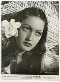 1m465 HURRICANE 7.25x9.75 still '37 best super close up of sexy exotic beauty Dorothy Lamour!