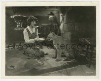 1m806 SEQUOIA 8x10.25 still '34 pretty Jean Parker shares a meal with a mountain lion indoors!