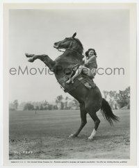 1m997 YVONNE DE CARLO 8.25x10 still '53 the pretty star smiling in shorts while on rearing horse!
