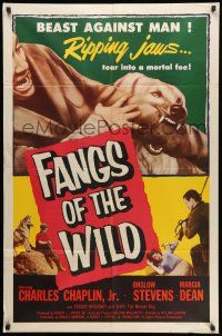 1p301 FANGS OF THE WILD 1sh '54 great image of Shep the Wonder Dog tearing into his foe!