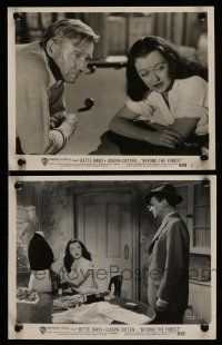 1s887 BEYOND THE FOREST 2 8x10 stills '49 sexy Bette Davis & Joseph Cotten, David Brian!