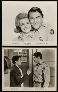1s143 CAPTAIN NEWMAN, M.D. 15 8x10 stills '64 great images of Gregory Peck & sexy Angie Dickinson!