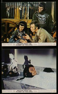 1s026 ESCAPE FROM THE PLANET OF THE APES 7 color 8x10 stills '71 Kim Hunter,Roddy McDowall,Montalban