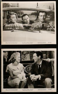 1s218 TIP ON A DEAD JOCKEY 13 8x10 stills '57 Robert Taylor & Dorothy Malone!