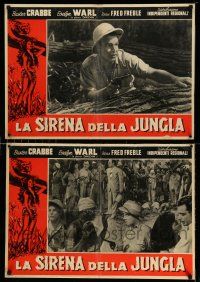 1t043 JUNGLE SIREN set of 3 Italian photobustas R50s great images of Buster Crabbe!
