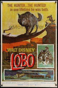 1y519 LEGEND OF LOBO 1sh R72 Walt Disney, King of the Wolfpack, cool artwork of wolf being hunted!