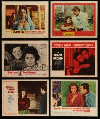 2a003 LOT OF 6 SOPHIA LOREN LOBBY CARDS '50s-60s great images of the sexy Italian star!