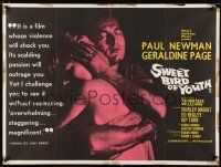 2b662 SWEET BIRD OF YOUTH British quad '62 Paul Newman, Geraldine Page, Tennessee Williams' play!