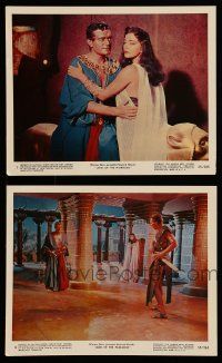 2h140 LAND OF THE PHARAOHS 2 color 8x10 stills '55 Jack Hawkins, Joan Collins, Howard Hawks directed