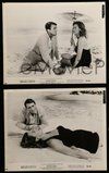 2h595 BELOVED INFIDEL 6 8x10 stills '59 Gregory Peck as F. Scott Fitzgerald, Deborah Kerr