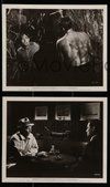 2h648 CAPE FEAR 5 8x10 stills '62 Gregory Peck, crazy Robert Mitchum, Polly Bergen & Lori Martin!