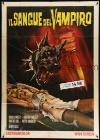 2j282 BLOOD OF THE VAMPIRE Italian 1p R60s cool different Casaro art of monster dog & bound woman!