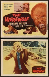 2m422 WEREWOLF 8 LCs '56 Steven Ritch as the wolf-man, scientists turn men into beasts!