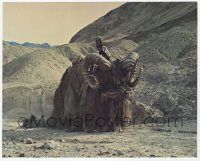2s049 STAR WARS color 8x10 still '77 great image of Tuskan raider sitting atop his Bantha!