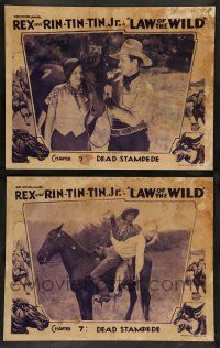 2w903 LAW OF THE WILD 2 chapter 7 LCs '34 art of Rin Tin Tin Jr., Rex King of the Wild Horses