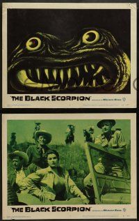 2w077 BLACK SCORPION 8 LCs '57 Richard Denning & Mara Corday hunt a wacky monster, who is shown!