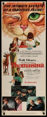 2y443 THREE LIVES OF THOMASINA insert '64 Walt Disney, great art of winking & smiling cat!