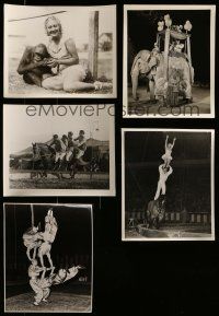 3a321 LOT OF 5 CIRCUS PHOTO 8X10 STILLS '40s-60s Chinese acrobats, elephant, horses & ape!