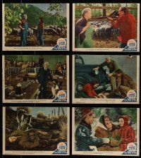 3a230 LOT OF 6 COURAGE OF LASSIE TRIMMED LOBBY CARDS '46 Elizabeth Taylor, Frank Morgan & dog!