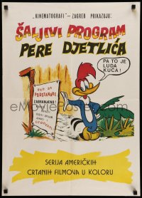 3b438 WOODY WOODPECKER Yugoslavian 19x27 '60s great art of the character next to sign!