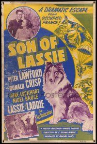 3c220 SON OF LASSIE style A 40x60 '45 Peter Lawford, art of the classic canine star & puppy!