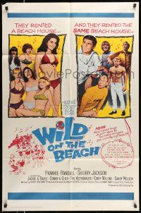 3j974 WILD ON THE BEACH 1sh '65 Frankie Randall, Sherry Jackson, Sonny & Cher, teen rock & roll!