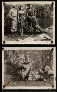 3m627 CANNIBAL ATTACK 9 8x10 stills '54 Johnny Weissmuller fighting guys in alligator suits, more!
