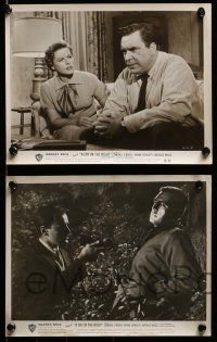 3m563 CRY IN THE NIGHT 10 8x10 stills '56 great images of Raymond Burr, Brian Donlevy!