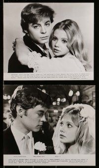 3m712 FAMILY WAY 8 from 6.5x9.5 to 8.25x9.5 stills '67 Boulting Brothers, Hayley Mills & Bennett!