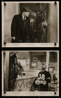 3m239 FRANCIS GOES TO WEST POINT 22 8x10 stills '52 Donald O'Connor & wacky talking mule!