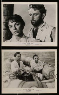 3m244 SEA WIFE 22 8x10 stills '57 cool images of sexy Joan Collins & Richard Burton!