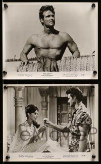 3m841 THIEF OF BAGHDAD 6 8x10 stills '61 daring Steve Reeves, sexy Georgia Moll, fantasy!