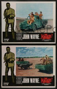 3t114 HATARI 8 LCs R67 Howard Hawks, John Wayne in Africa, Elsa Martinelli!