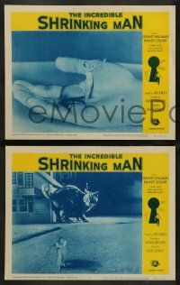 3t142 INCREDIBLE SHRINKING MAN 8 LCs R64 Jack Arnold, Grant Williams, cool special effects images!