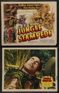 3t167 JUNGLE STAMPEDE 8 LCs '52 cool artwork of wild jungle animals attacking + nude native!