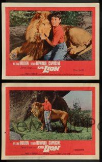 3t189 LION 8 LCs '63 cool images of William Holden, Trevor Howard & Capucine in Africa!
