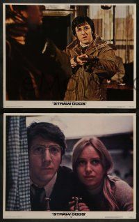 3t399 STRAW DOGS 8 LCs '72 directed by Sam Peckinpah, close ups of Dustin Hoffman & Susan George!