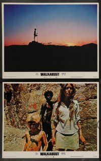 3t479 WALKABOUT 8 LCs '71 Jenny Agutter in the Outback w/David Gulpilil, Nicolas Roeg classic!
