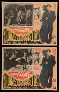 3y484 KNOCK ON ANY DOOR 8 Mexican LCs '49 Humphrey Bogart, John Derek, directed by Nicholas Ray!