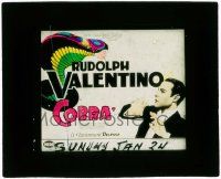 4a044 COBRA glass slide '25 cool image of Rudolph Valentino & serpent snake woman!