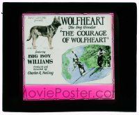 4a049 COURAGE OF WOLFHEART glass slide '25 The German Shepherd Dog Wonder, Big Boy Williams